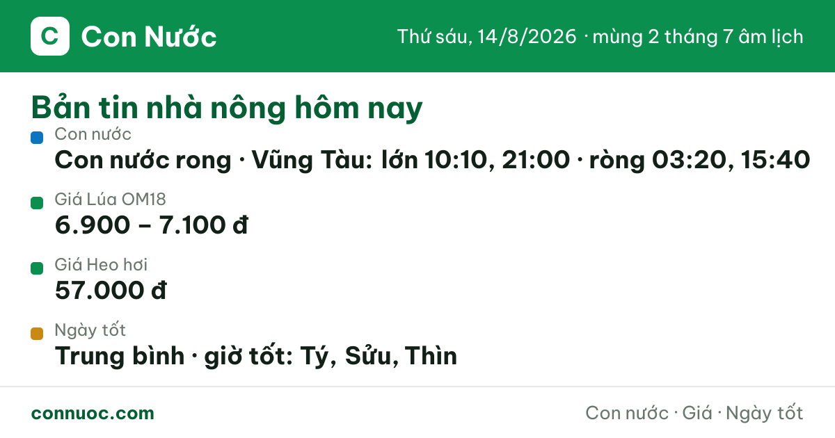 🌊 Bản tin hôm nay (tổng hợp)