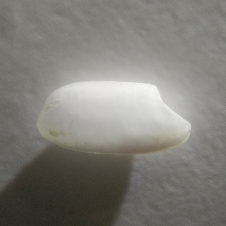 Hình ảnh Lúa Đài Thơm 8