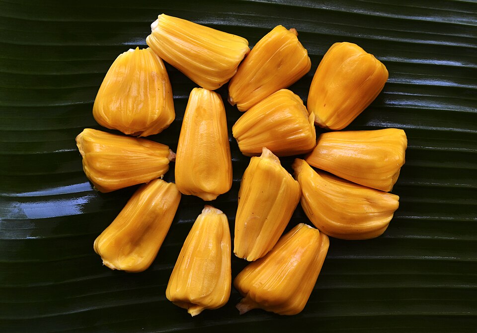 Hình ảnh Mít Thái